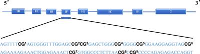 The association between peritraumatic distress, perceived stress, depression in pregnancy, and NR3C1 DNA methylation among Chinese pregnant women who experienced COVID-19 lockdown